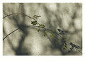 shadow of the &hellip;