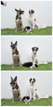 trio fantastic&hellip;