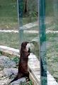 Pogled u slobo&hellip;