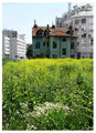 Zaboravljena k&hellip;
