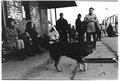 Borisoglebsky,&hellip;