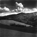 Tuscane (San G&hellip;