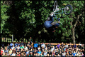 Backflip-tailw&hellip;