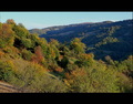 hills of Barel&hellip;