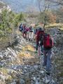 po šumama i go&hellip;