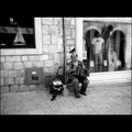 music for pige&hellip;