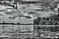 sava 1