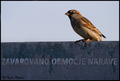 zavarovalno ob&hellip;