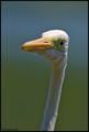   Up....close &hellip;