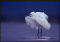 coldness (mala&hellip;