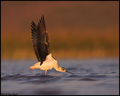 Streching (vla&hellip;