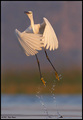 full swing (ma&hellip;
