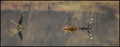 Panorama...V.v&hellip;