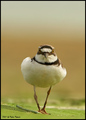 Angry........k&hellip;