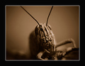 hello my frien&hellip;