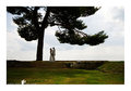 obična wedding&hellip;