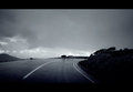 kiša pada krav&hellip;