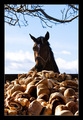 cookie na atme&hellip;
