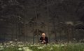 Lord of the Be&hellip;