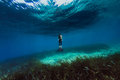 The sea among &hellip;