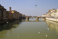 Arrivederci Fi&hellip;