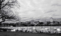 Vltava vivid v&hellip;