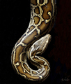python realmon&hellip;