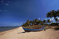 Tropical optic&hellip;