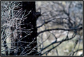 veliko brdo - &hellip;