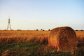 Fields of Geri