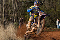 MX