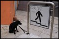 HIS MASTER&hellip;