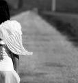 Angel in the C&hellip;