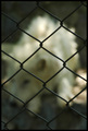 bgd zoo - vrt &hellip;