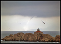Pijavica iza G&hellip;