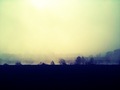 Naturalna mist&hellip;