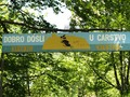Carstvo vješti&hellip;