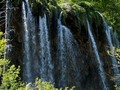 Veliki šištava&hellip;