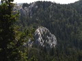Zeleno bijela &hellip;