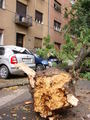 Vjetar , kisa &hellip;