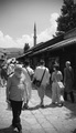 Deda s Baščarš&hellip;