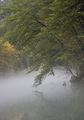 Kamačnik-magli&hellip;