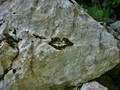 pusa svima kol&hellip;