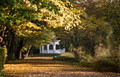 Paviljon jekee&hellip;