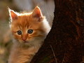 bezimeni  -  n&hellip;