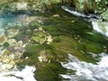 rijeka Krčić/n&hellip;