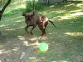 ...igra sa bal&hellip;