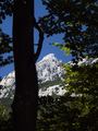 tree and hills&hellip;