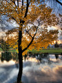 HDR za jesen .&hellip;