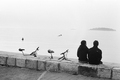 zalazak (stere&hellip;